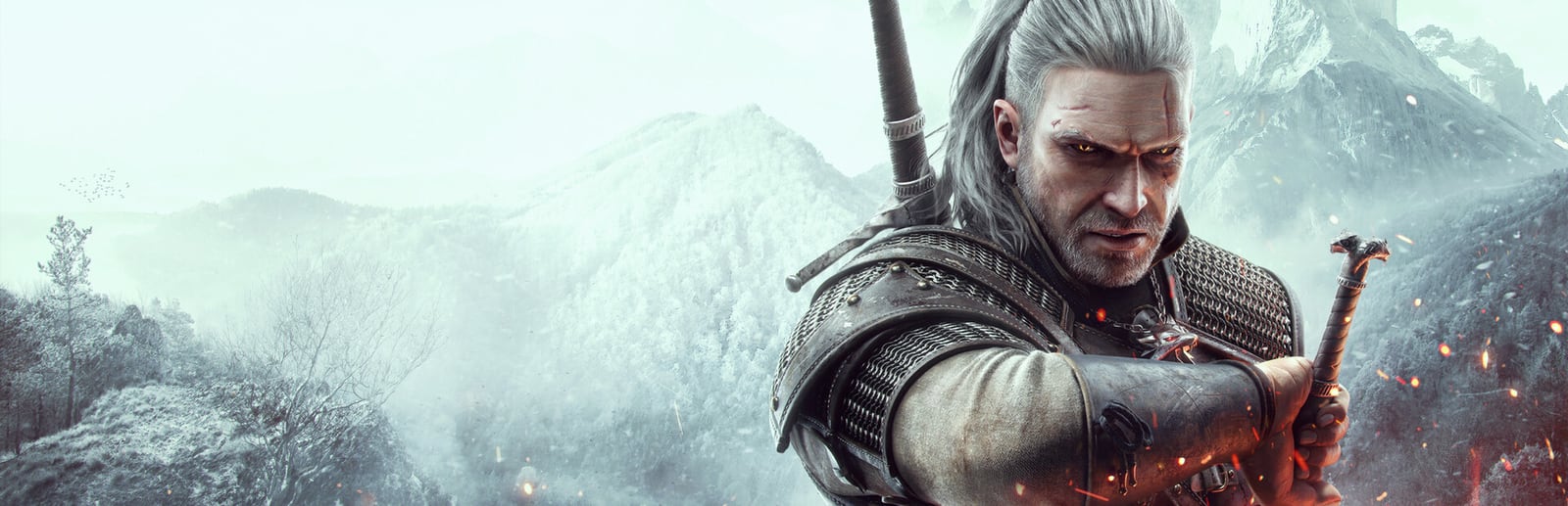 The Witcher 3: Wild Hunt cover art
